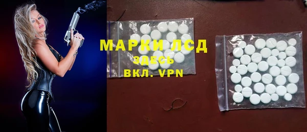ПСИЛОЦИБИНОВЫЕ ГРИБЫ Абаза