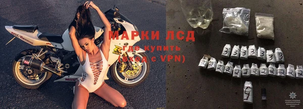 ПСИЛОЦИБИНОВЫЕ ГРИБЫ Абаза
