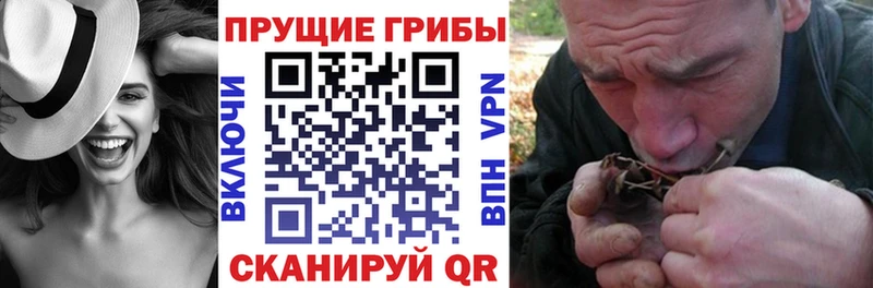 Галлюциногенные грибы Cubensis Невельск